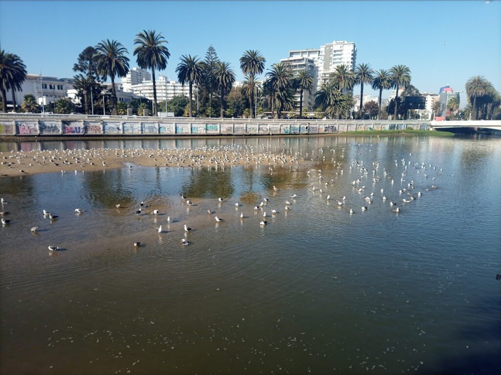 IMG_20220413_155240_913